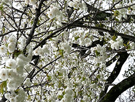 �����Γ�