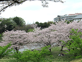 �����Γ�