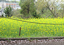 �����Γ�